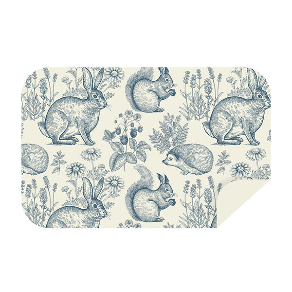 Microfibre L Double Sided Printed Towel - Beatrix Potter